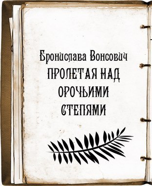 Постер книги Пролетая над орочьими степями