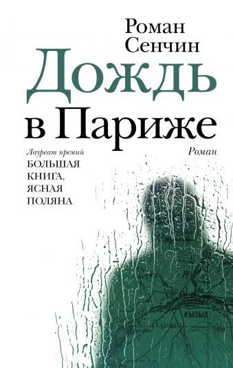 Постер книги Дождь в Париже