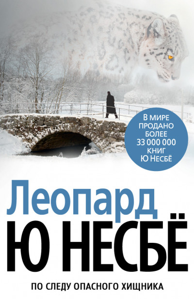 Постер книги Леопард