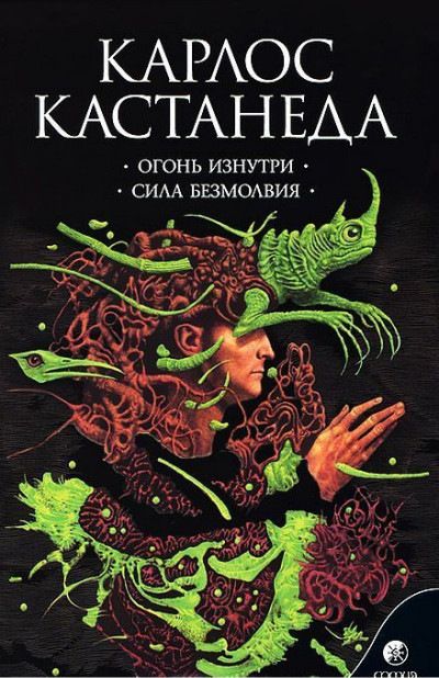 Постер книги Огонь изнутри