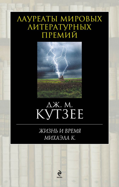 Постер книги Жизнь и время Михаэла К.