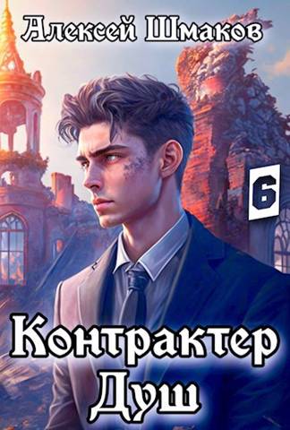 Постер книги Контрактер душ 6