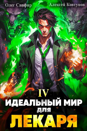 Постер книги Идеальный мир для Лекаря 4