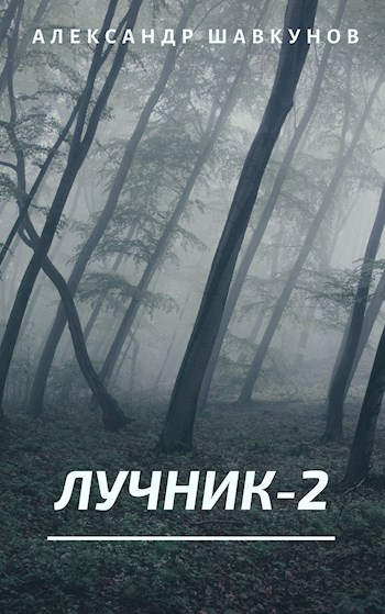 Постер книги Лучник-2