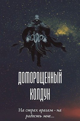 Постер книги Доморощенный Колдун