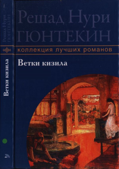 Постер книги Ветки кизила