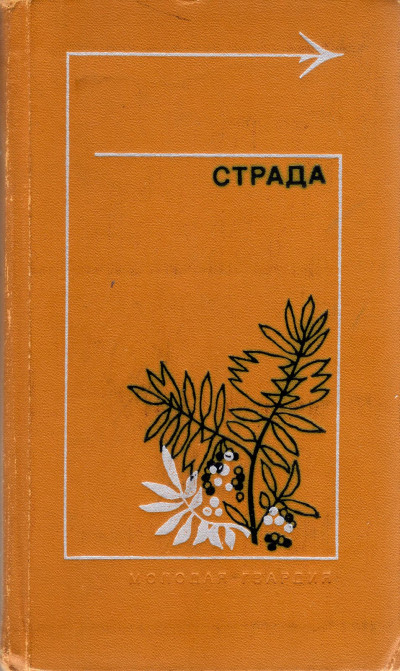 Постер книги Страда