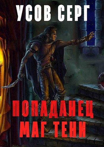 Постер книги Попаданец. Маг Тени. Книга 1