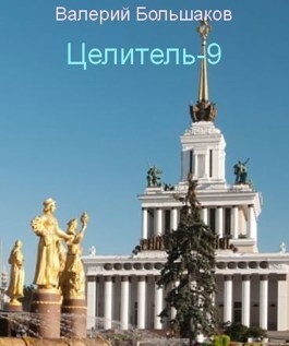 Постер книги Целитель - 9