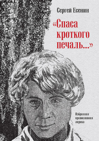 Постер книги «Спаса кроткого печаль…». Избранная православная лирика