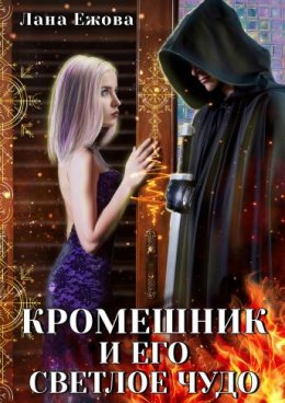 Постер книги Кромешник и его светлое чудо