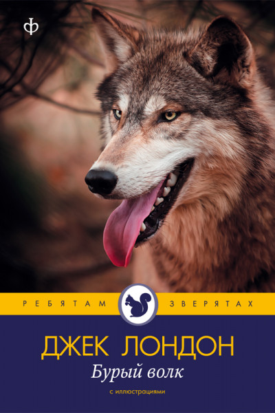 Постер книги Бурый Волк