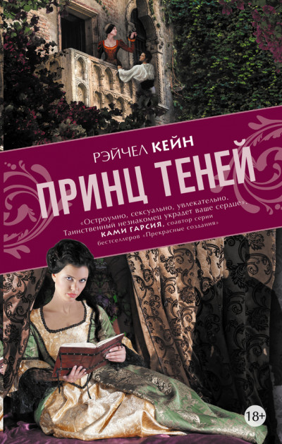 Постер книги Принц Теней