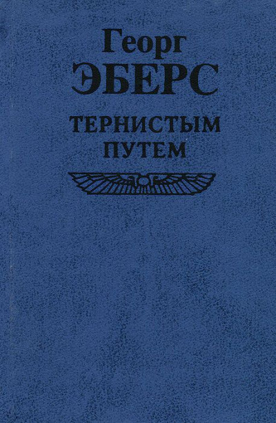 Постер книги Тернистым путем