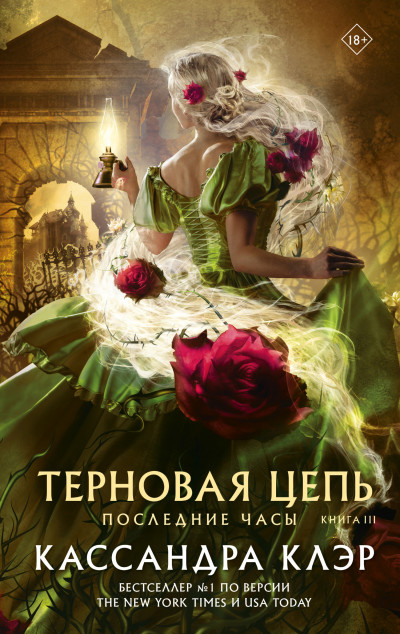 Постер книги Терновая цепь