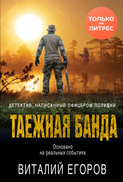 Постер книги Таежная банда