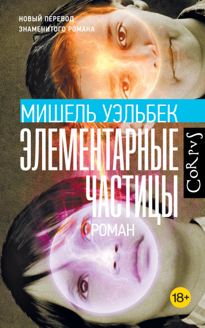 Постер книги Элементарные частицы