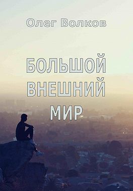 Постер книги Большой внешний мир