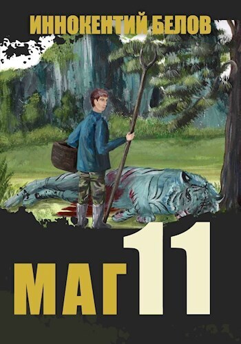 Постер книги Маг 11